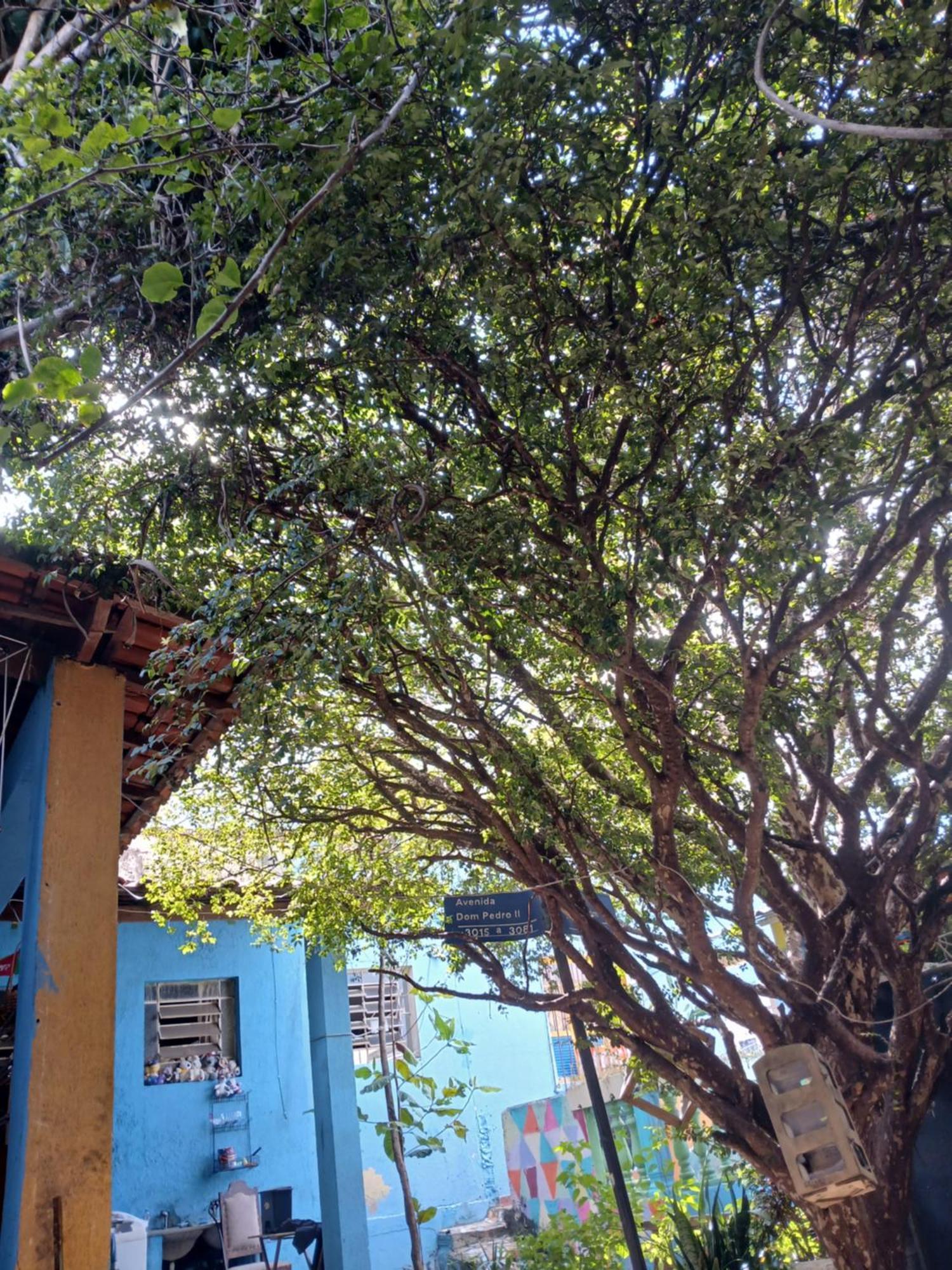 Hostel Jabuticaba Belo Horizonte Exterior foto